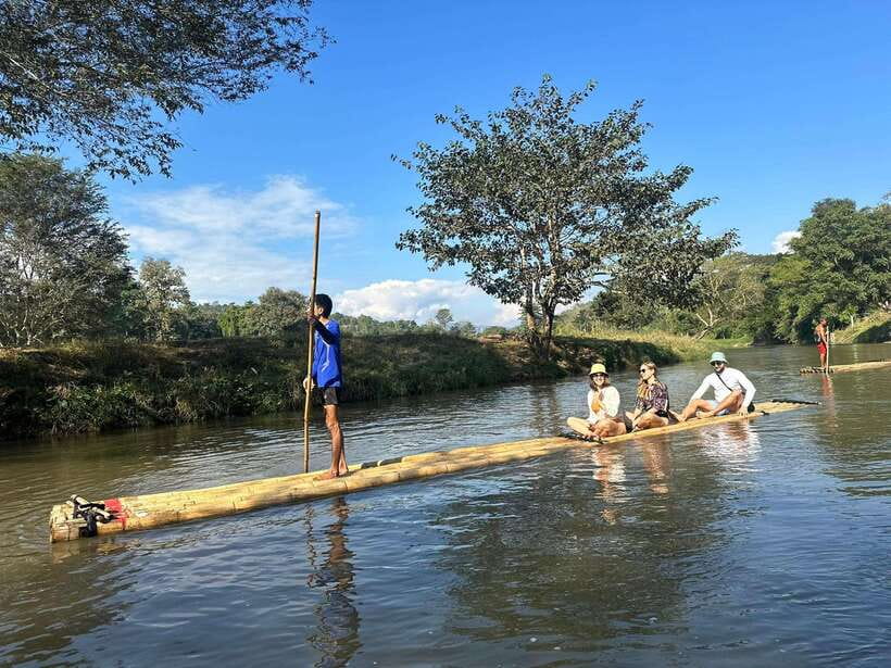 Chiang Mai: Elephant Sanctuary, Waterfall & Bamboo Rafting - Walking through the forest with the herd