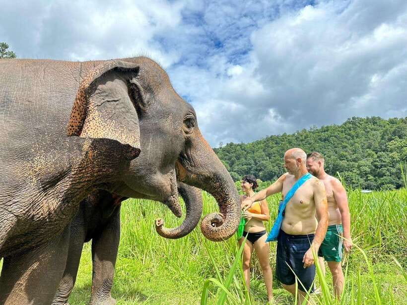 Chiang Mai: Elephant Sanctuary, Waterfall & Bamboo Rafting - Lunch and a taste of local hospitality