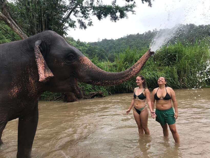 Chiang Mai: Elephant Sanctuary & Waterfall Group Tour - Who should book this day out