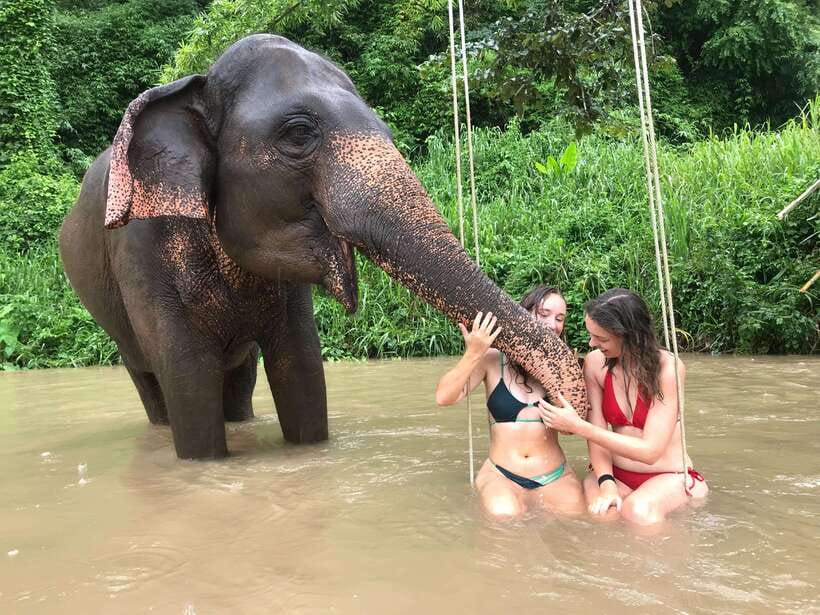 Chiang Mai: Elephant Sanctuary & Waterfall Group Tour - The 80-minute journey from Chiang Mai