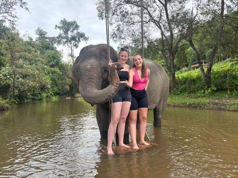 Chiang Mai: Elephant Sanctuary & Waterfall Group Tour - Feeding and walking beside the herd
