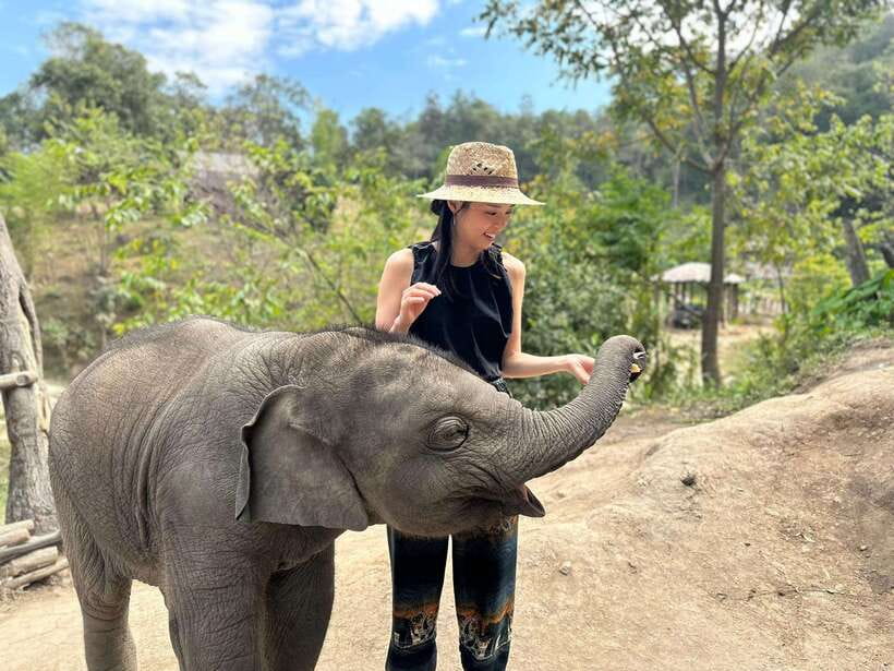 Chiang Mai: Elephant Sanctuary & Waterfall Group Tour - A local lunch after the animal visit