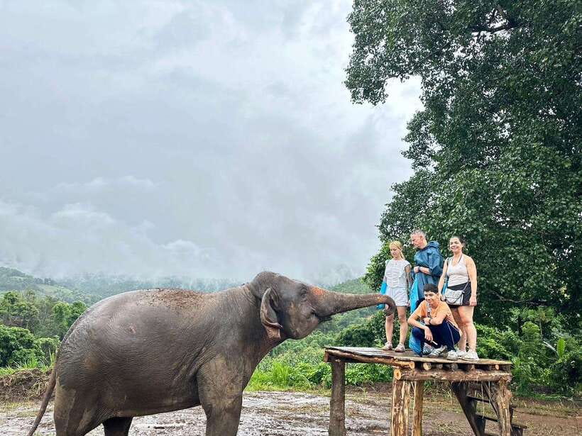 Chiang Mai: Elephant Sanctuary & Waterfall Group Tour - Hiking through the forest to Mae Wang Waterfall