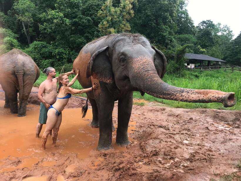 Chiang Mai: Elephant Sanctuary & Waterfall Group Tour - What the $50 price really covers