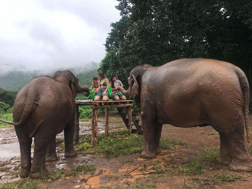 Chiang Mai: Elephant Sanctuary & Waterfall Group Tour - Practical clothing and packing advice