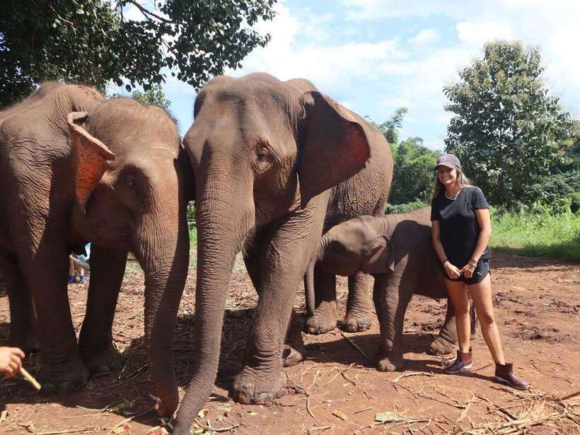 Chiang Mai: Elephant Sanctuary & Waterfall Group Tour - Meeting the elephants at Pon Elephant Thailand