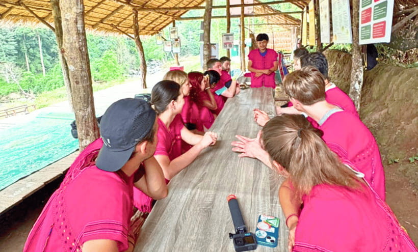 Chiang Mai: Ethical Half Day Elephant Sanctuary & Waterfall - Why this sanctuary feels different