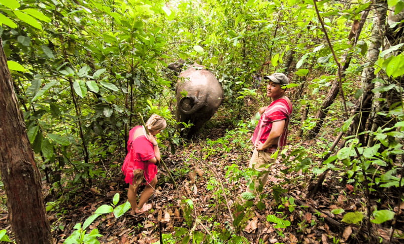 Chiang Mai: Ethical Half Day Elephant Sanctuary & Waterfall - Making a Thai herbal inhaler to take home