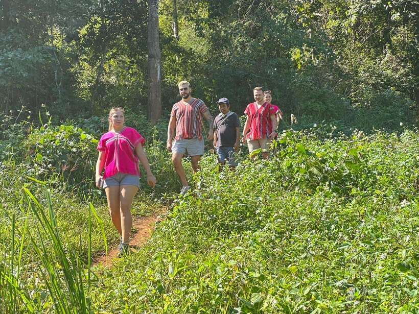 Chiang Mai Untouched Elephant: Nature Walk & Waterfall Trek - The river bath and mud play