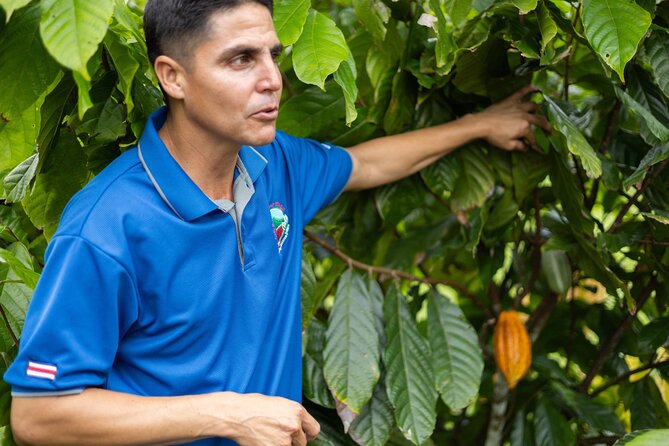 Coffee & Chocolate Tour+Sloths Park & Llanos de Cortez Waterfall - Spring Paradise and the search for sloths