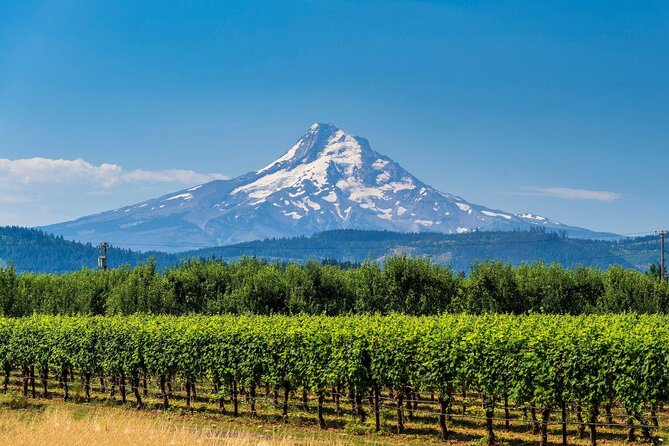 Columbia Gorge Waterfalls and Mt. Hood Tour - Full Day - Key points to know before booking