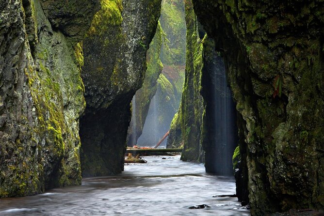 Columbia Gorge Waterfalls and Mt. Hood Tour - Full Day - Starting in Portland and reaching Crown Point