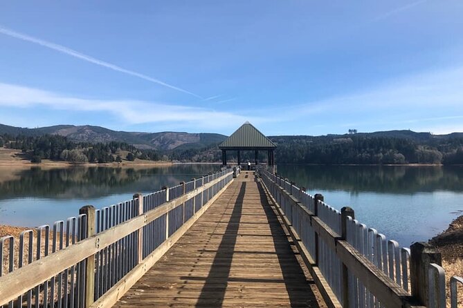 Columbia River Gorge Waterfall Tour from Portland - Latourell Falls and the Gorge’s volcanic rock