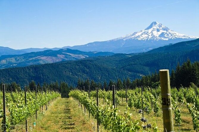 Columbia River Gorge Waterfall Tour from Portland - Multnomah Falls: the main event