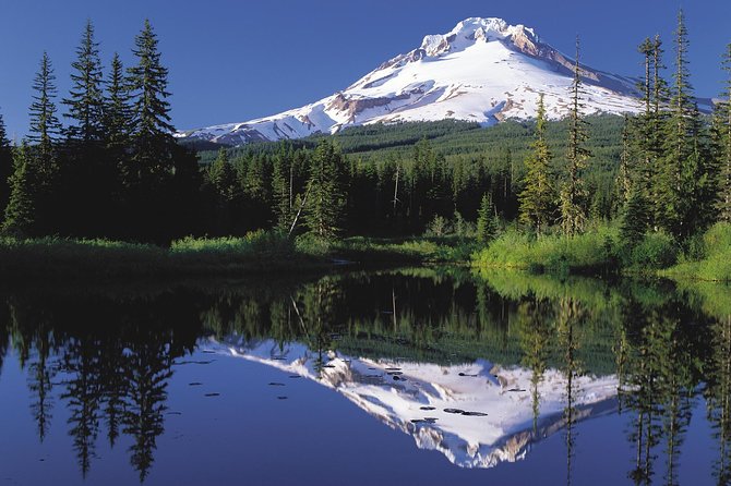 Columbia River Gorge Waterfalls & Mt Hood Tour from Portland, OR - Starting at Director Park in downtown Portland