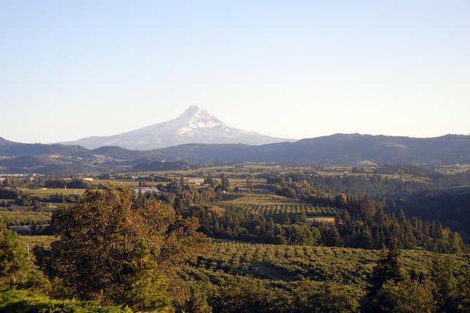 Columbia River Gorge Waterfalls & Mt Hood Tour from Portland, OR - Multnomah Falls and Benson Bridge