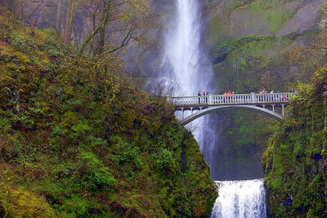 Columbia River Gorge Waterfalls Tour from Portland, OR - Latourell Falls and the basalt wall