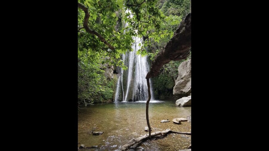 Crete: Richtis Waterfall Full-Day Tour with Olive Tasting - Swimming beneath the falls