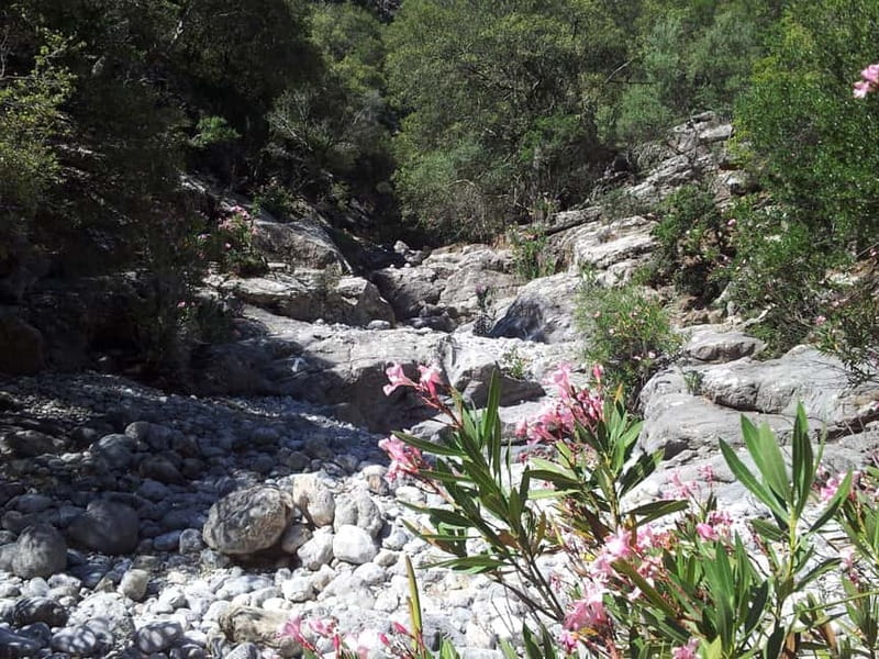 Crete: Richtis Waterfall Full-Day Tour with Olive Tasting - How much value do you get for $115?