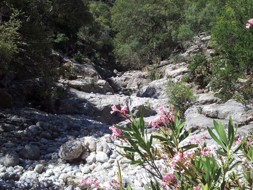 Crete: Richtis Waterfall Full-Day Tour with Olive Tasting - Who will enjoy this tour most?
