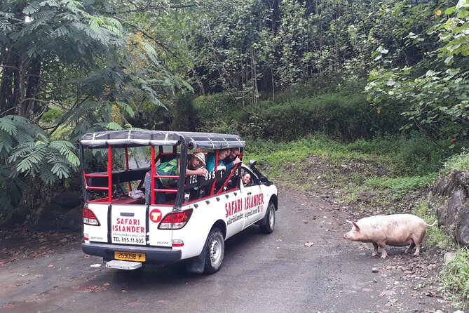 Crossing Island of Tahiti 4x4 Mountain, Waterfall, River, Basins - How the weather changes the experience