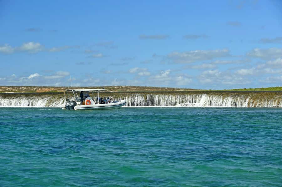 Cygnet Bay Unique Tidal Waterfall Reefs Scenic Cruise - Key points before you book