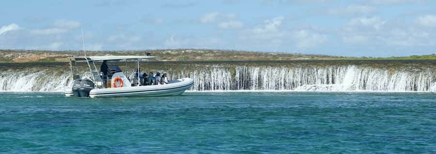 Cygnet Bay Unique Tidal Waterfall Reefs Scenic Cruise - Why this reef looks like a waterfall