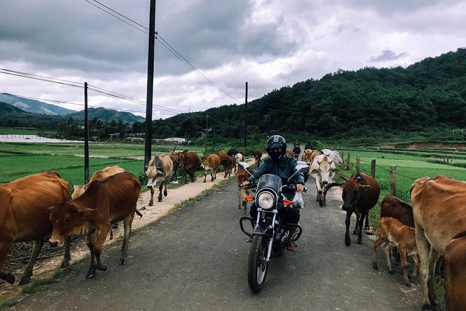 Da Lat's Countryside & Waterfalls Day Tour by Motorbike - Why this Da Lat ride works so well