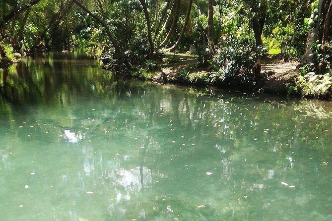 Damajagua The 7 waterfalls excursion - Amber Cove & Taino bay - Jumps, slides, and cold mountain water