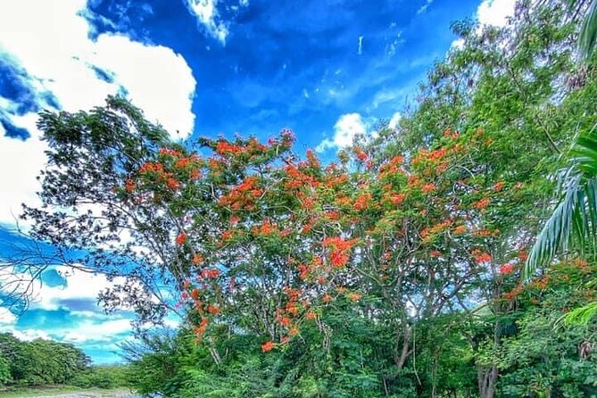 Damajagua The 7 waterfalls excursion - Amber Cove & Taino bay - The optional photos are useful, but budget for them