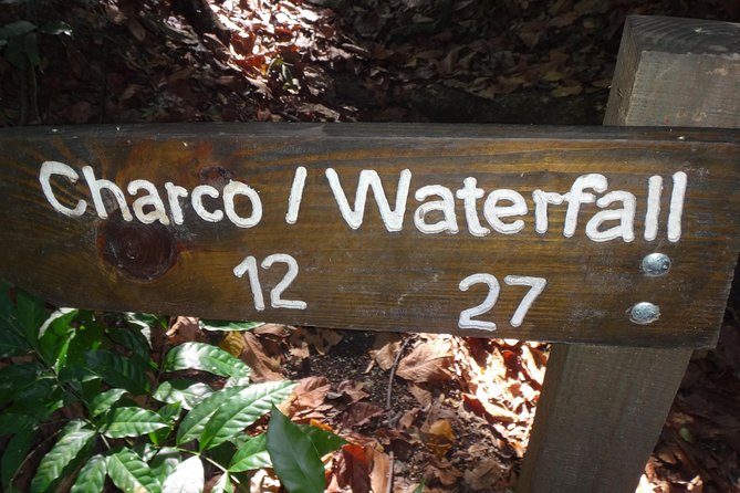 Damajagua Waterfalls for Cruise Ship Passengers - The zipline option and cruise timing