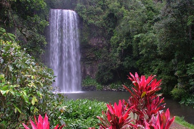 Day Tour to Paronella Park, Lake Barrine and Millaa Millaa Falls - Why this Atherton Tablelands day works