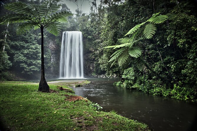 Day Tour to Paronella Park, Lake Barrine and Millaa Millaa Falls - Millaa Millaa Falls is the day’s best swim stop