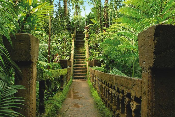 Day Tour to Paronella Park, Lake Barrine and Millaa Millaa Falls - The lunch and morning tea help justify the price