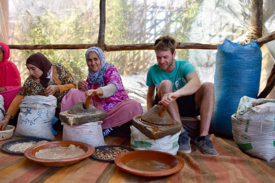 Day Trip Atlas Mountains and Berber Villages with Waterfalls - Tea or Lunch in a Berber Home