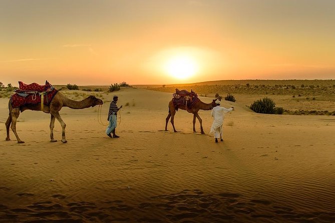 Desert Agafay & Atlas Mountains, Valleys & Waterfalls Tour from Marrakech - Argan oil, lunch, and the cost of the day