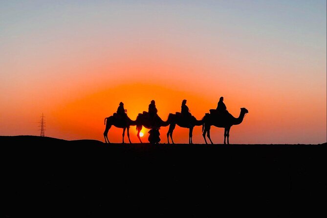 Desert Agafay & Atlas Mountains, Valleys & Waterfalls Tour from Marrakech - Who will enjoy this Atlas Mountains day