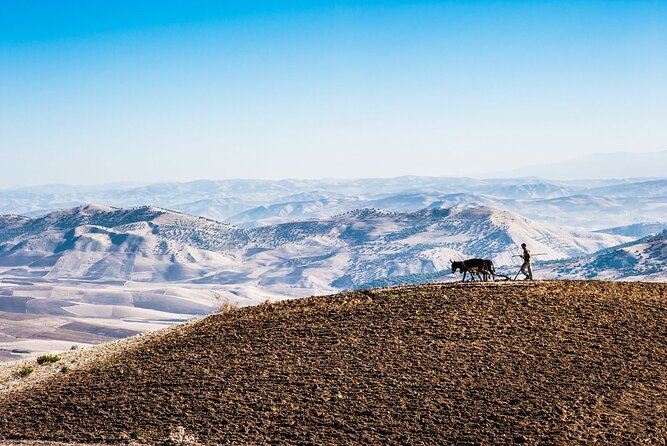 Desert Agafay & Atlas Mountains, Valleys & Waterfalls Tour from Marrakech - Tea, breakfast, and a Berber family visit