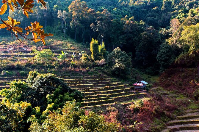 Doi Inthanon National Park, Waterfall & Royal Project Day Tour From Chiang Mai - The royal pagodas combine gardens, views, and rules