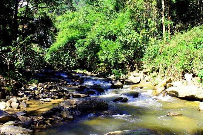 Doi Inthanon National Park, Waterfall & Royal Project Day Tour From Chiang Mai - Ban Mae Klang Luang offers culture, coffee, and shopping