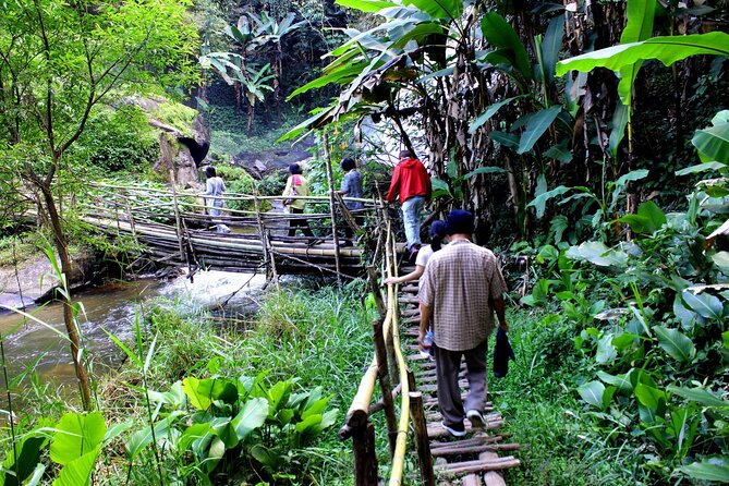 Doi Inthanon National Park, Waterfall & Royal Project Day Tour From Chiang Mai - Lunch is simple, practical, and included