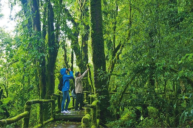 Doi Inthanon Waterfall and Royal Project Chiang Mai - Ang Ka Nature Trail shows a cooler side of Thailand