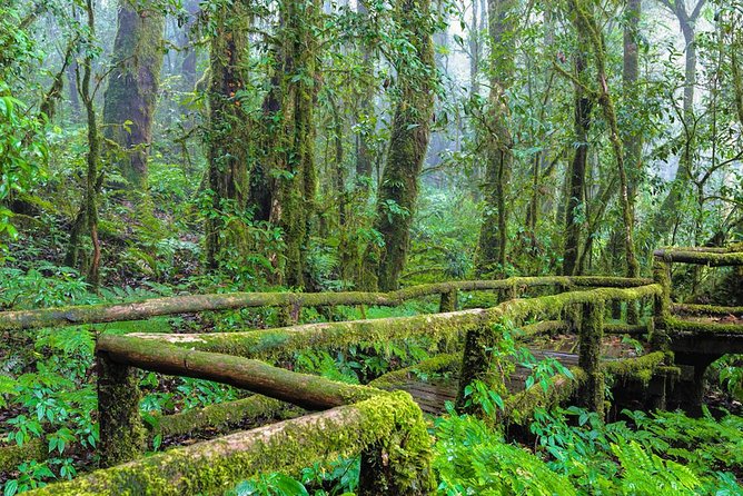 Doi Inthanon Waterfall and Royal Project Chiang Mai - The longer hike is the best choice for active visitors