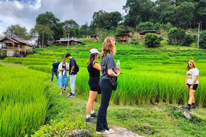 Doi Inthanon Waterfall and Royal Project Chiang Mai - The Twin Royal Stupas reward the uphill drive