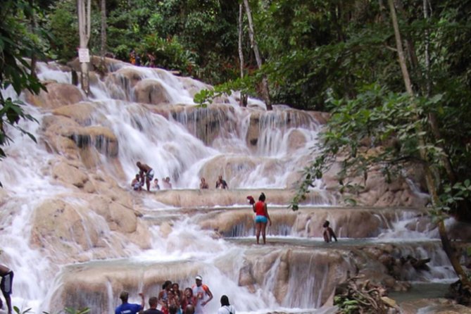 Dunn's River Falls and Blue Hole Private Tour from Ocho Rios - Why this private Ocho Rios tour works well
