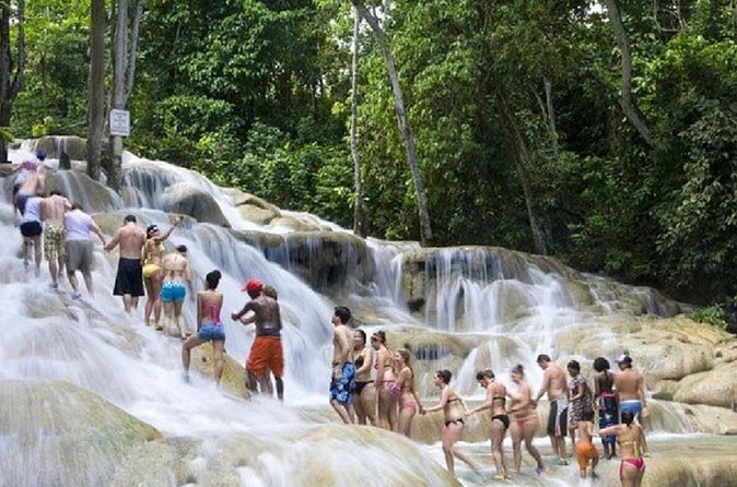 Dunn's River Falls and Horse Back Riding Excursion - Who Will Enjoy This Excursion Most?