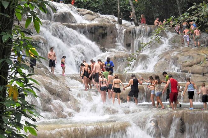Dunn's River Falls and Horse Back Riding Excursion - Guides Who Shape the Day