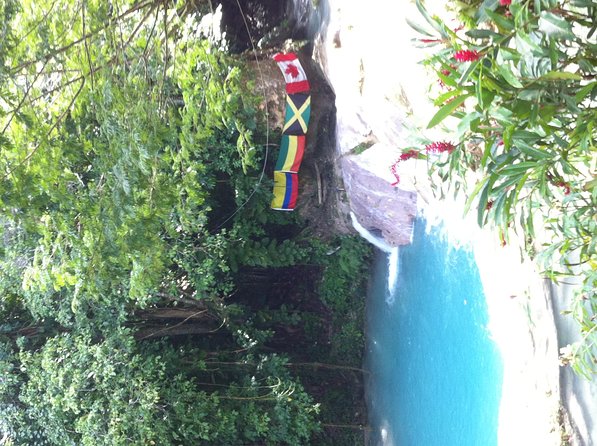 Dunn's River Falls and Jamaica Sightseeing Private Tour - Columbus Park adds a little context