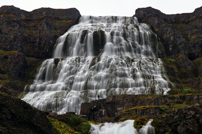 Dynjandi Waterfall & Iceland Farm Visit Tour - Should you book the Dynjandi and farm tour?