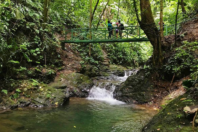 Ebano Waterfalls and Rainforest Safari Tour - Why the waterfalls are worth the short hike